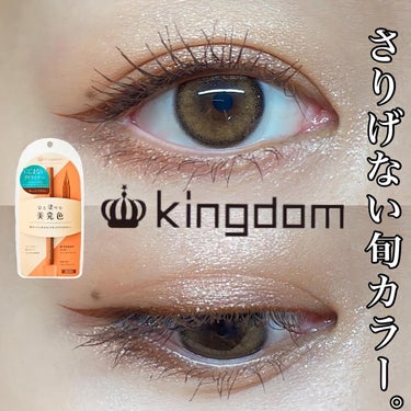 キングダム リキッドアイライナーWP		のクチコミ「.
.
.
@qutis_official
#kingdom
#リキッドアイライナーWP
1,.....」（1枚目）