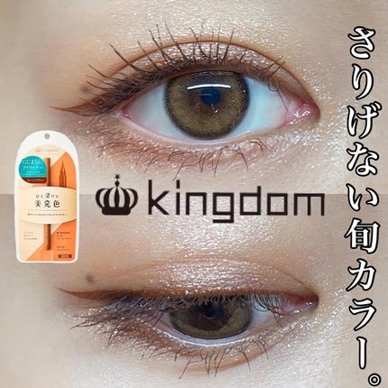 リキッドアイライナーWP		/キングダム/リキッドアイライナーを使ったクチコミ(1枚目)