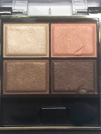 スキニーリッチシャドウ/excel/アイシャドウパレットを使ったクチコミ(2枚目)