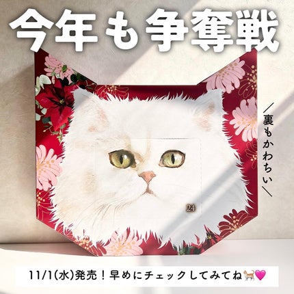 メイクアップ コレクション 2023/PAUL & JOE BEAUTE/メイクアップキットを使ったクチコミ(8枚目)