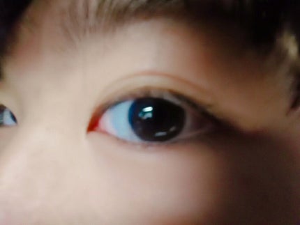 ルドゥーブル/ルドゥーブル/二重まぶた用アイテムを使ったクチコミ(1枚目)