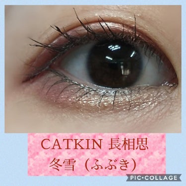 長相思シリーズ 9色アイシャドウパレット/CATKIN/アイシャドウパレットを使ったクチコミ（1枚目）