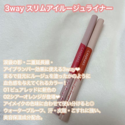 3wayスリムアイルージュライナー/キャンメイク/リキッドアイライナーを使ったクチコミ(2枚目)