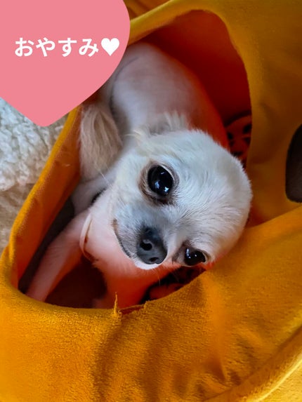 H&Mウォータートリートメント/KUNDAL/洗い流すヘアトリートメントを使ったクチコミ(6枚目)