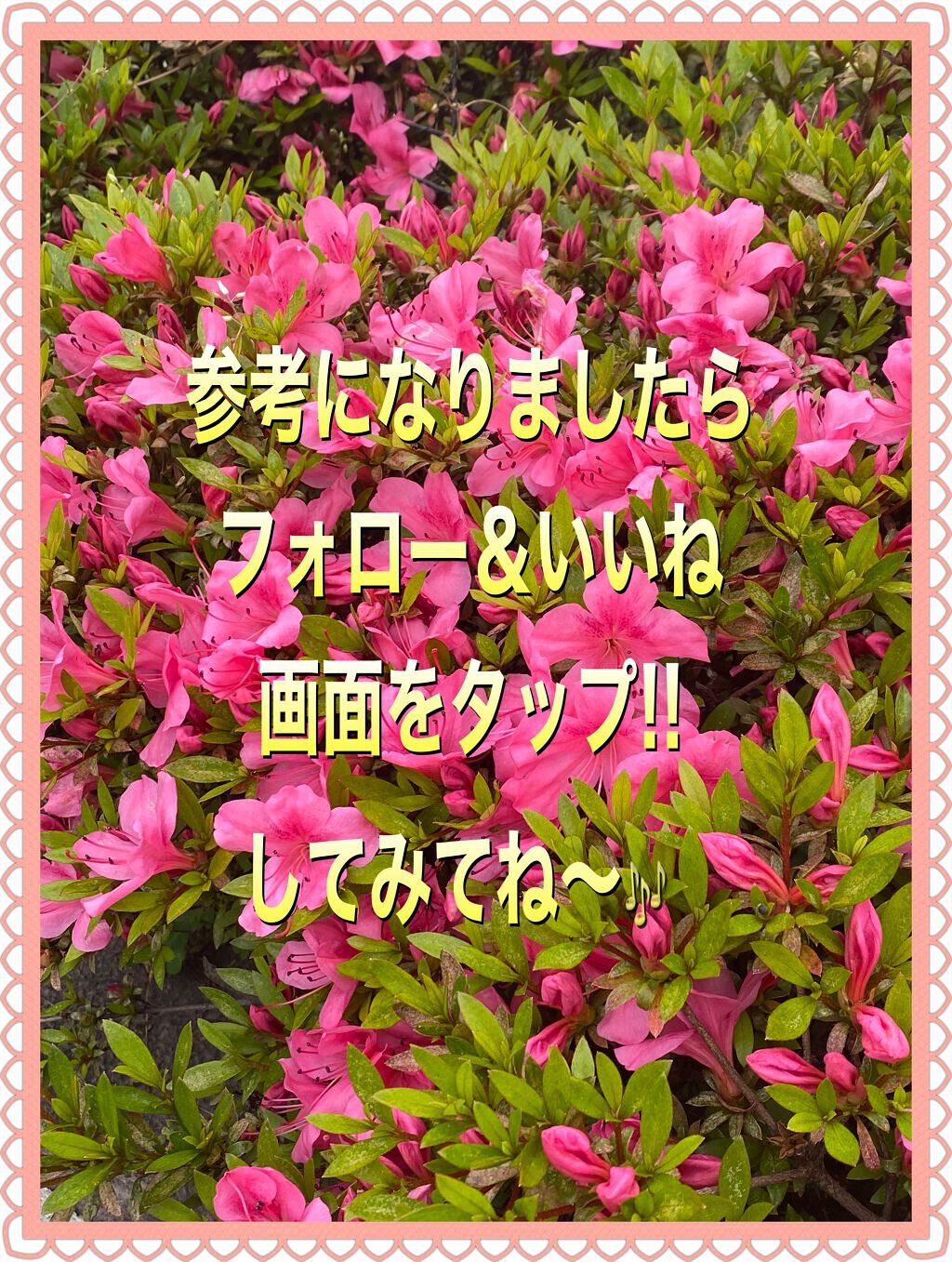 カラースキンプライマーUV/コフレドール/化粧下地を使ったクチコミ（3枚目）