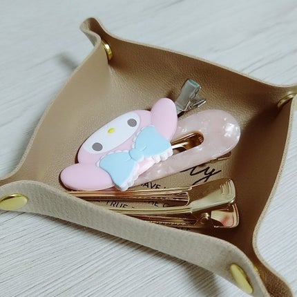 フェイクレザートレー/キャンドゥ/その他を使ったクチコミ(3枚目)