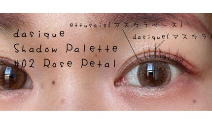 シャドウパレット/dasique/アイシャドウパレットを使ったクチコミ(4枚目)