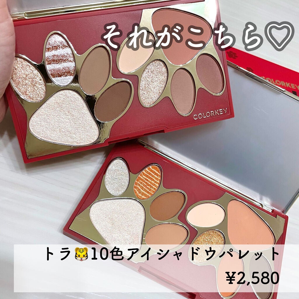 トラ十色アイシャドウパレット/COLORKEY/アイシャドウパレットを使ったクチコミ(3枚目)