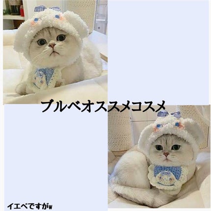 グロウフルールチークス/キャンメイク/パウダーチークを使ったクチコミ(1枚目)