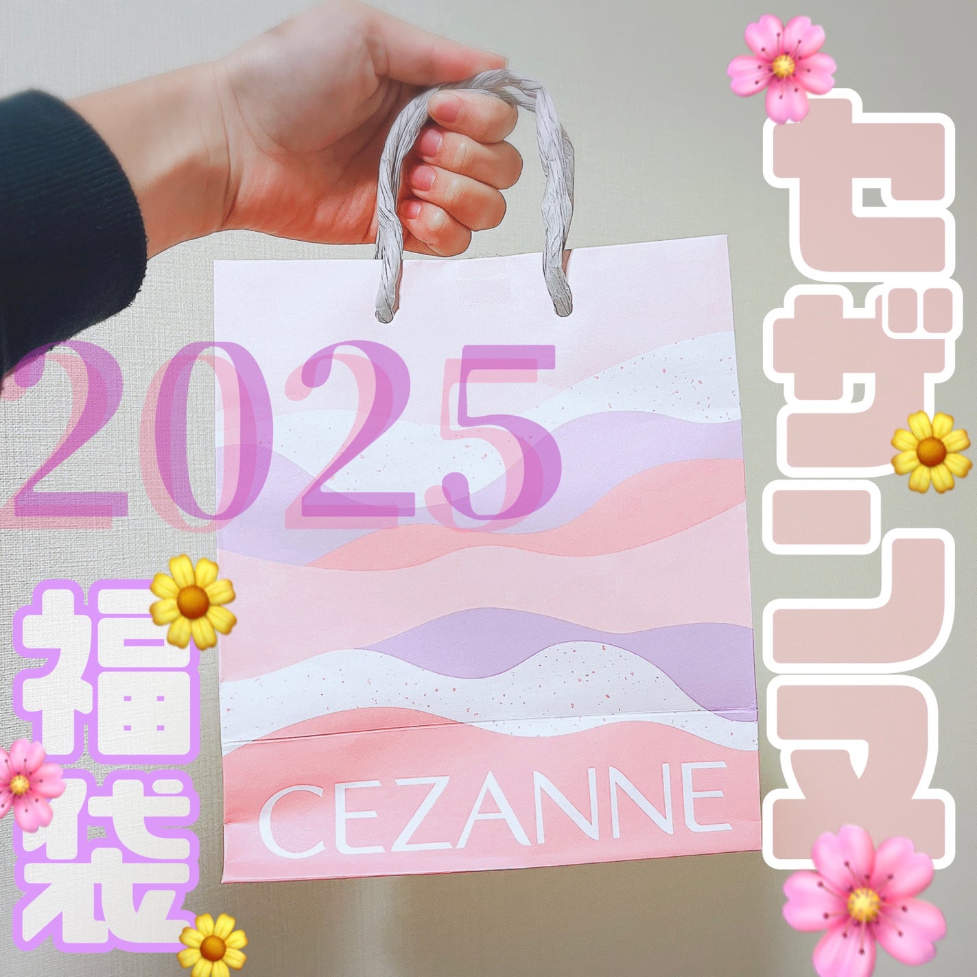 ナチュラル チークN/CEZANNE/パウダーチークを使ったクチコミ(1枚目)