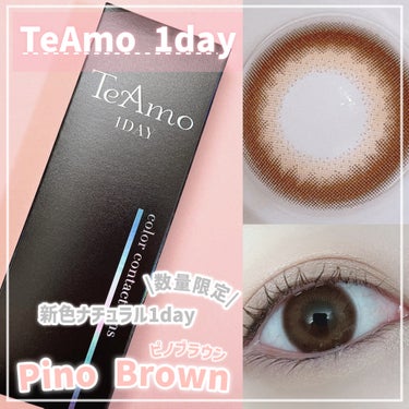 TeAmo 1DAY/TeAmo/ワンデー（１DAY）カラコンを使ったクチコミ（1枚目）