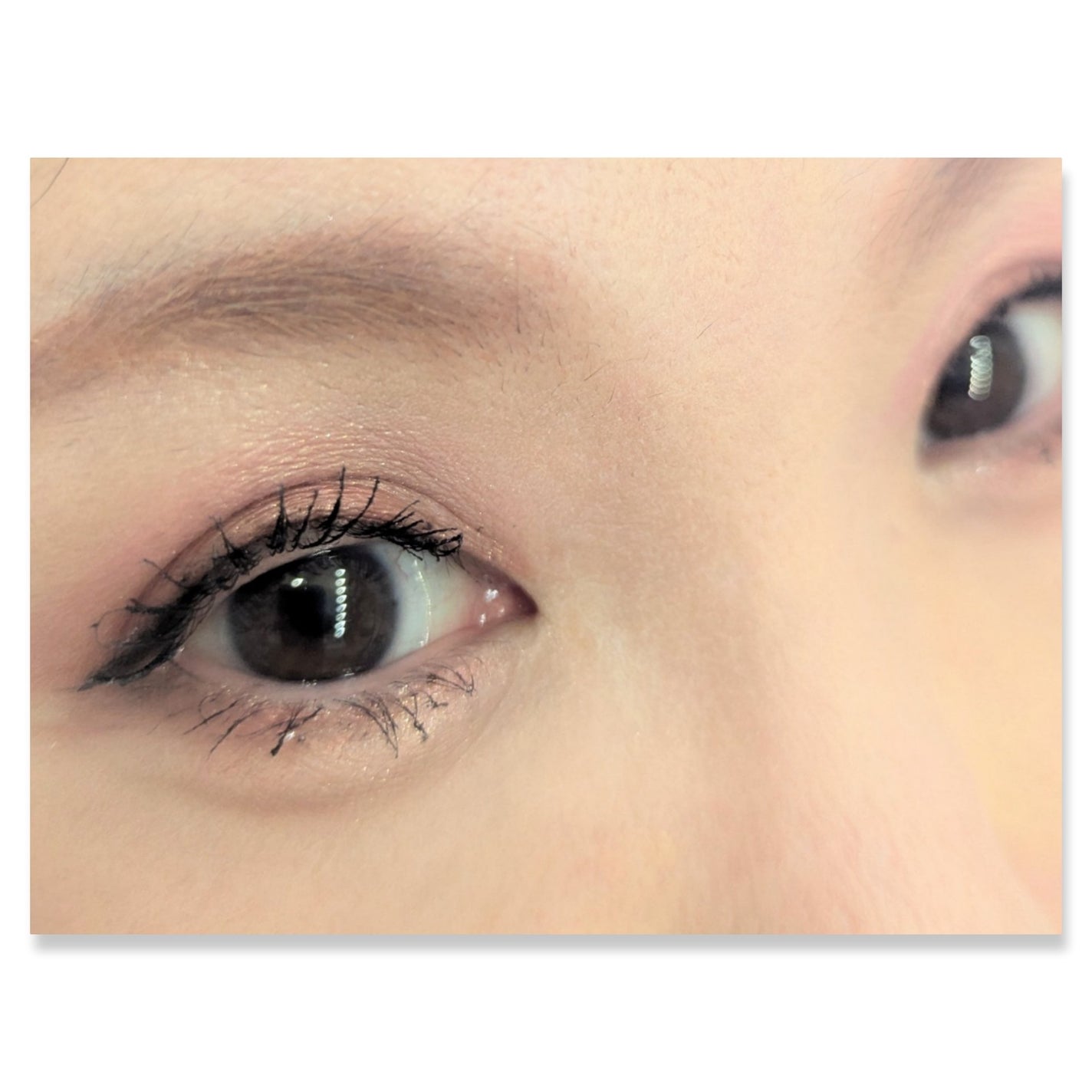 アイカラーパレット/heme/アイシャドウパレットを使ったクチコミ(2枚目)