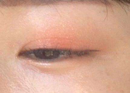 シャドウパレット/dasique/アイシャドウパレットを使ったクチコミ(3枚目)