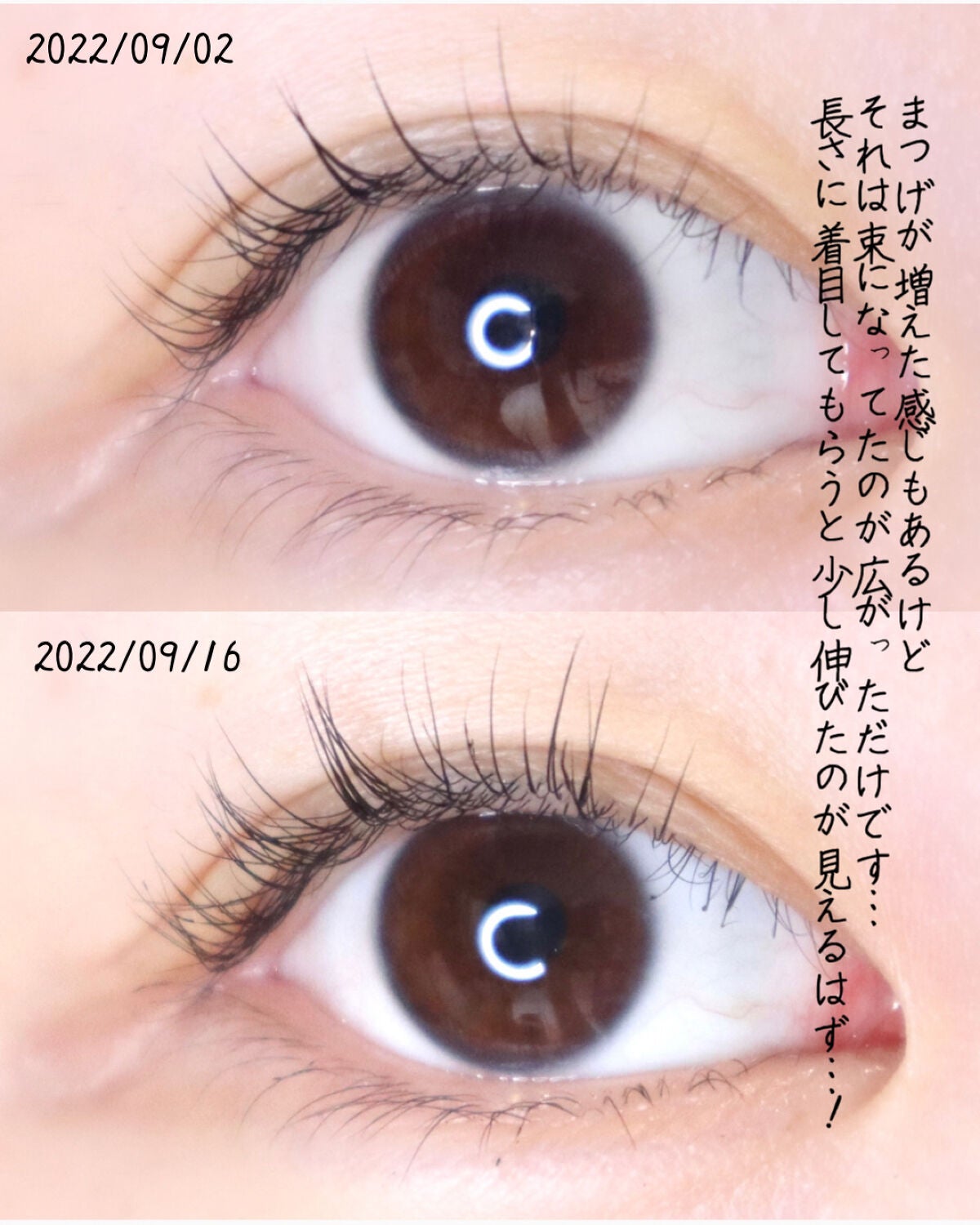 マジックティント/MAJOLICA MAJORCA/マスカラを使ったクチコミ(4枚目)