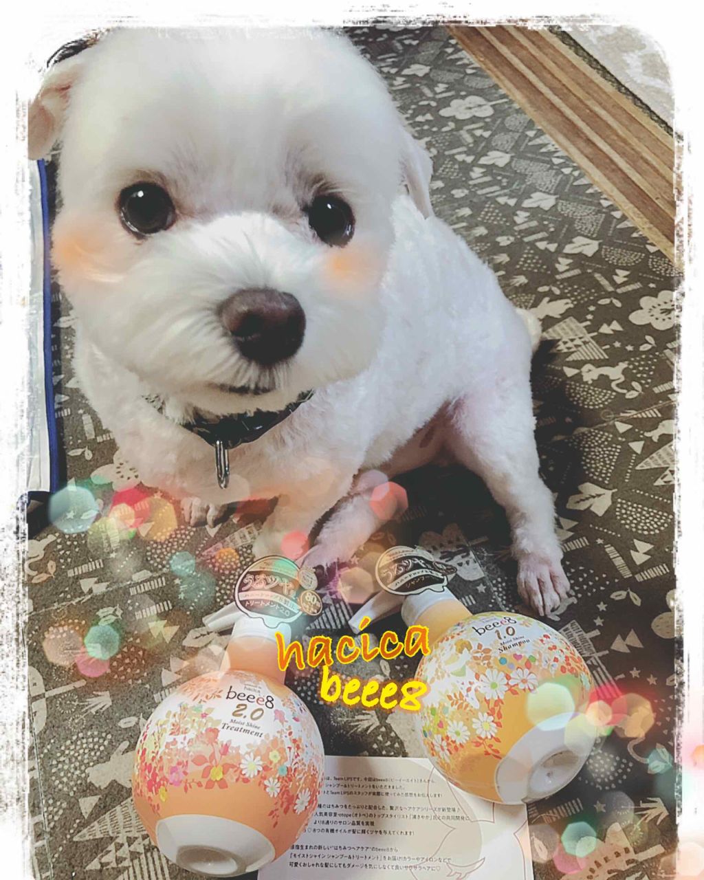 モイストシャイン シャンプー1.0／モイストシャイン トリートメント2.0/beee8/市販シャンプーを使ったクチコミ（1枚目）