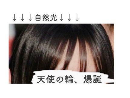 スムーズ インフュージョン ナチュラル ストレイトナー/AVEDA/ヘアワックス・クリームを使ったクチコミ(5枚目)