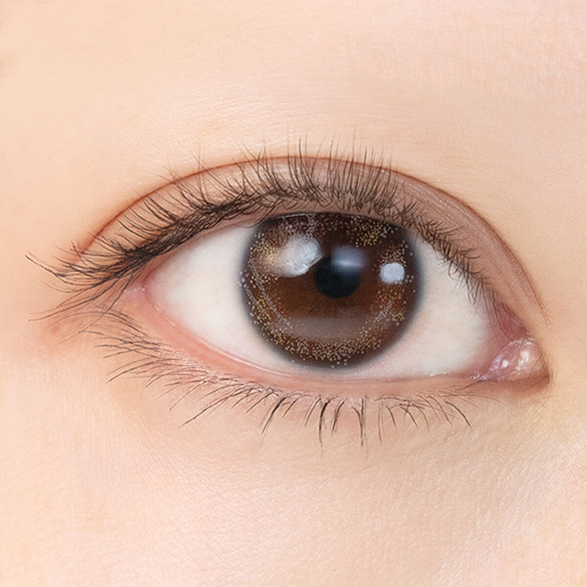 OvE（オヴィ） 1day OvE6