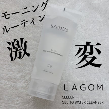ラゴム ジェルトゥウォーター クレンザー(朝用洗顔)/LAGOM /その他洗顔料を使ったクチコミ(1枚目)
