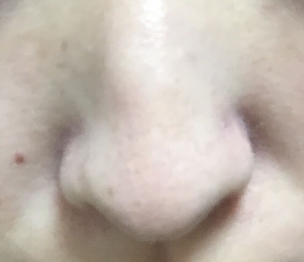 ポアレスエアリーベース/キャンメイク/化粧下地を使ったクチコミ(3枚目)