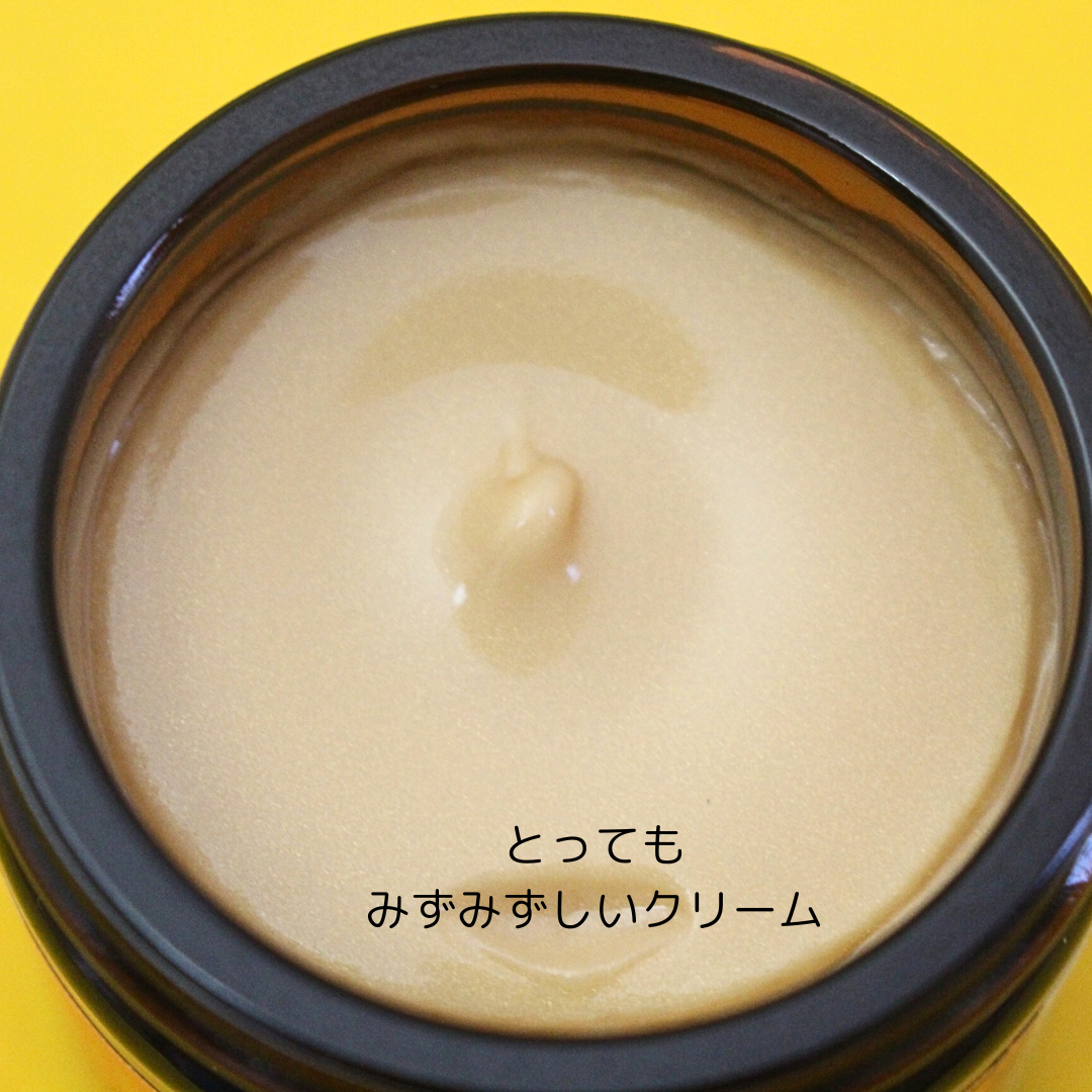 ディエム C ウォータークリーム/Antipodes/フェイスクリームを使ったクチコミ(5枚目)