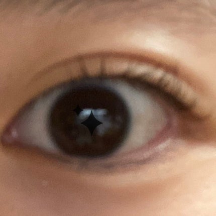 スプリングパワーカーラー/excel/ビューラーを使ったクチコミ(4枚目)