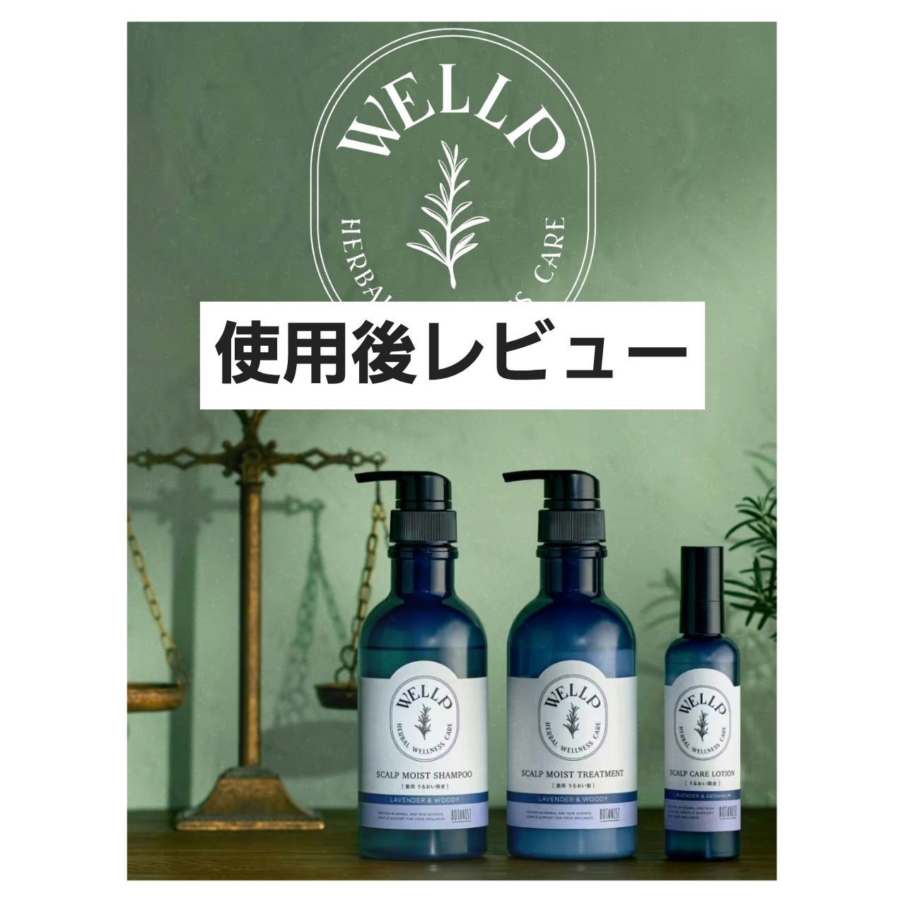 薬用スカルプケアシャンプー/トリートメント モイスト/WELLP/市販シャンプーを使ったクチコミ（1枚目）