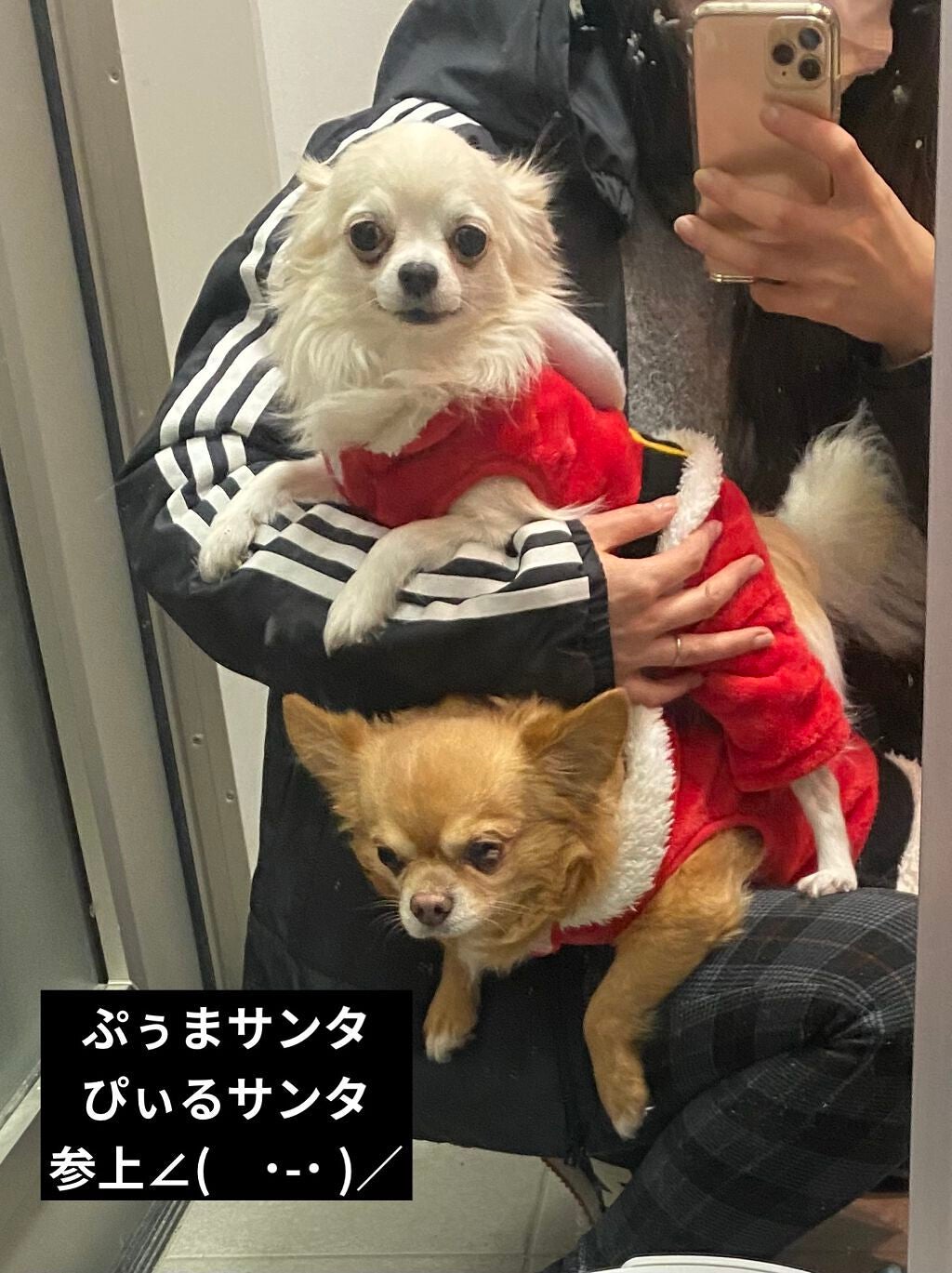 H&Mウォータートリートメント/KUNDAL/洗い流すヘアトリートメントを使ったクチコミ(4枚目)