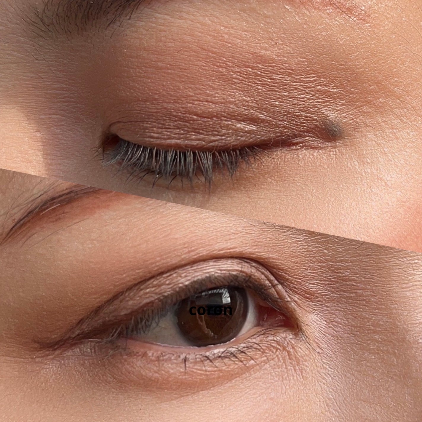 ã¹ãããžãã«ãŒã ã¢ã€ã·ã£ããŒããŒã¹/NARS/ã¢ã€ã·ã£ããŠããŒã¹ã䜿ã£ãã¯ãã³ãïŒ2æç®ïŒ