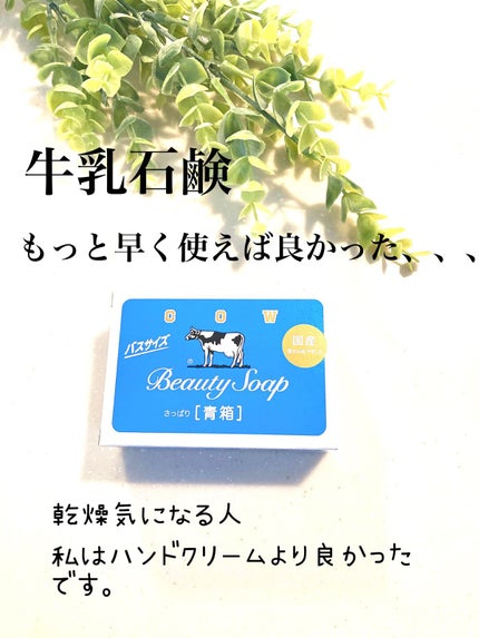青箱 (さっぱり)/カウブランド/ボディ石鹸を使ったクチコミ(1枚目)