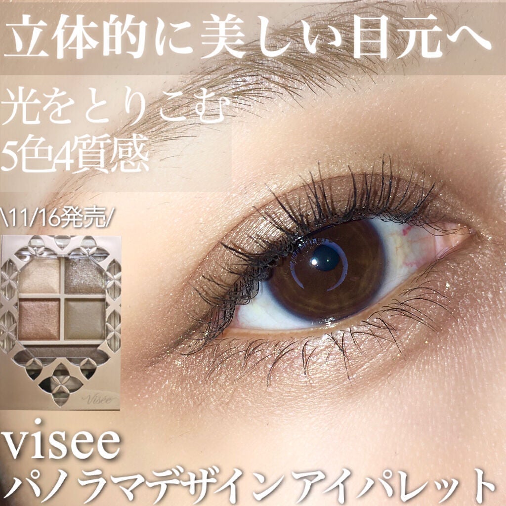 パノラマデザイン アイパレット/Visée/アイシャドウパレットを使ったクチコミ(1枚目)