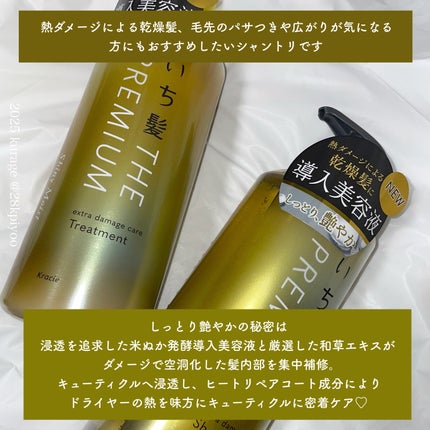 THE PREMIUM ãšã¯ã¹ãã©ãã¡ãŒãžã±ã¢ã·ã£ã³ããŒïŒããªãŒãã¡ã³ãïŒã·ã£ã€ããŒã¢ã€ã¹ãïŒ/ãã¡é«ª/åžè²©ã·ã£ã³ããŒã䜿ã£ãã¯ãã³ãïŒ2æç®ïŒ