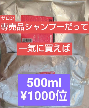 ☆安定した使い心地
☆ボトル単品で買うととても高い
☆初期費用をかける価値はある。

旅行用の小分けボトル分ももちろん用意済み。
シャンプートリートメント2.5kg、各¥5000位
諭吉さんが飛びます。