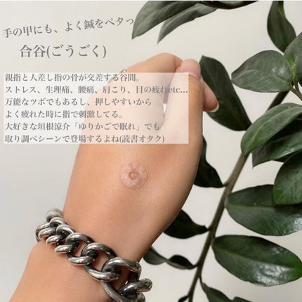 円皮鍼/セイリン/その他を使ったクチコミ(6枚目)