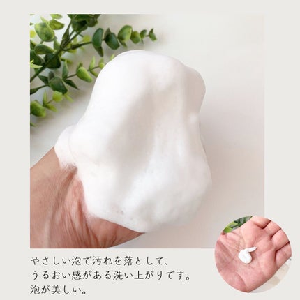 クリーミィ フォーム/iniks/洗顔フォームを使ったクチコミ(3枚目)