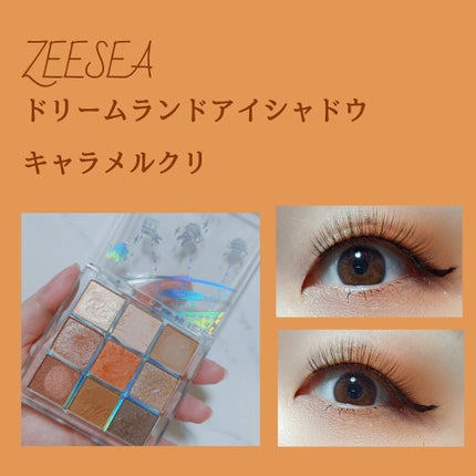 クォーツ 9色アイシャドウパレット(ドリームランドアイシャドウ)/ZEESEA/アイシャドウパレットを使ったクチコミ(1枚目)