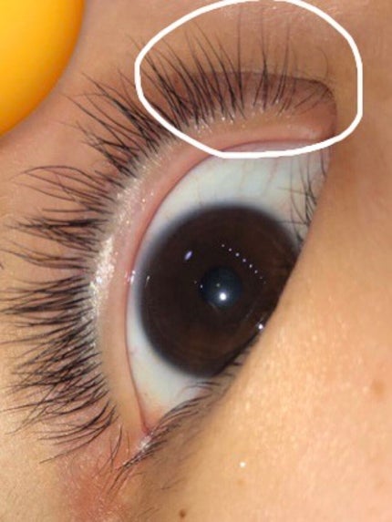 ラッシュジェリードロップ EX/MAJOLICA MAJORCA/まつげ美容液を使ったクチコミ(3枚目)