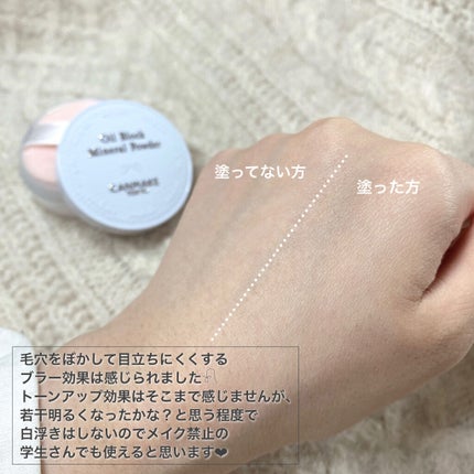オイルブロックミネラルパウダー/キャンメイク/ルースパウダーを使ったクチコミ(3枚目)