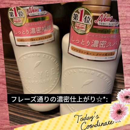 シャンプー/トリートメント DN ダメージケア/CLAYGE/シャンプー・コンディショナーを使ったクチコミ(1枚目)
