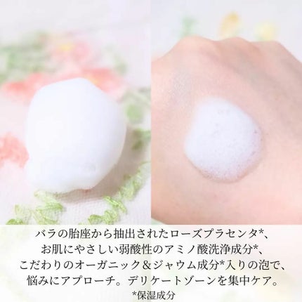 インナーブラン フェムケアフォーム 本体(100ml)/ミスミ製薬/その他生理用品の画像