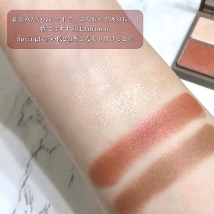 インザミラーアイパレット/Ririmew/アイシャドウパレットを使ったクチコミ(4枚目)