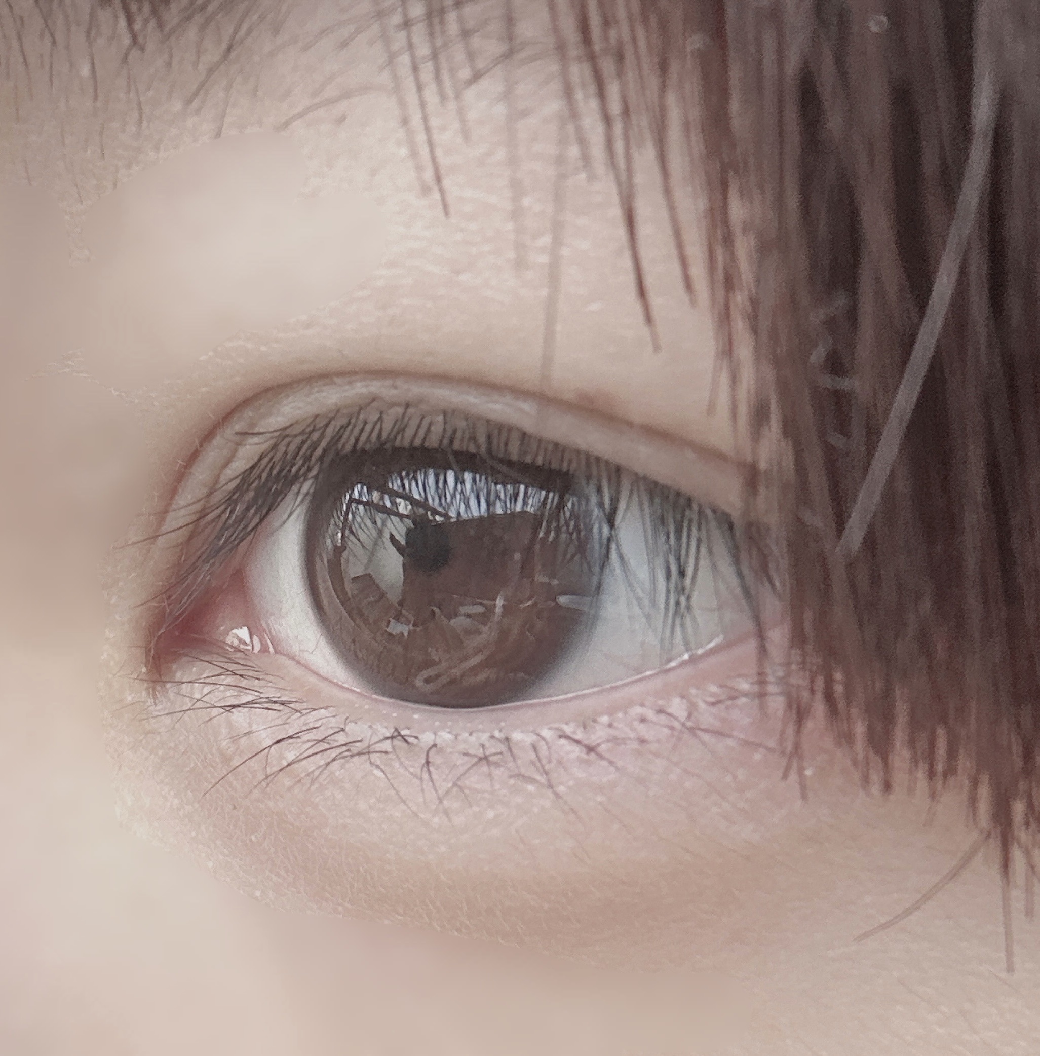 DHC DHCアイラッシュトニックのクチコミ「まつ毛に塗ってたらまつ毛はそんな伸びないけど眉毛めっちゃ生えた
眉毛に塗るようにしたら眉毛モサ.....」（2枚目）