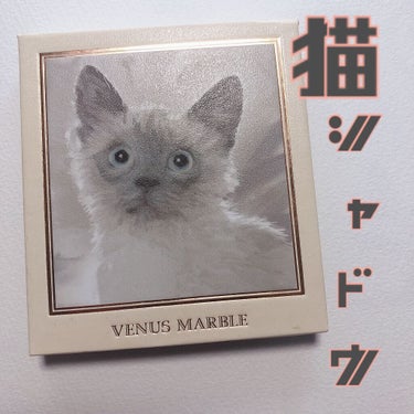   i  on LIPS 「🐱#猫_アイシャドウかわいい🐈‍⬛🐈👇👇#venus_marb..」（1枚目）