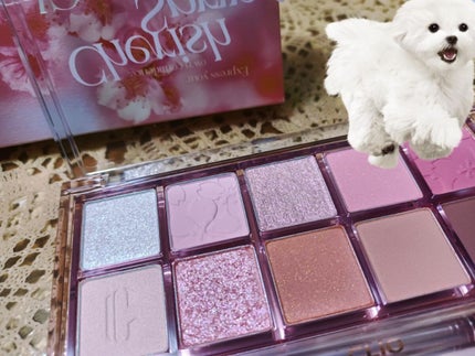 プロ アイ パレット/CLIO/アイシャドウパレットを使ったクチコミ(2枚目)