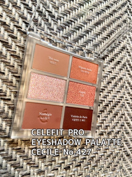 プロアイシャドウパレットセシル/CELEFIT/アイシャドウパレットを使ったクチコミ(2枚目)