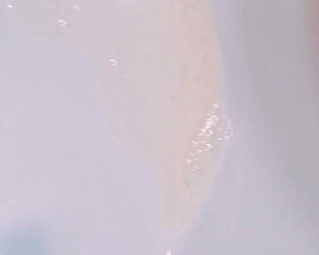 ELLEsalon シャンプー&トリートメント/エルサロン/サロンシャンプーを使ったクチコミ（3枚目）