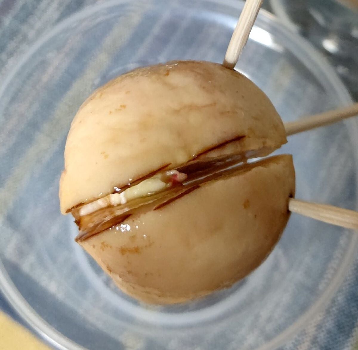 ガラス花瓶/DAISO/その他を使ったクチコミ(3枚目)