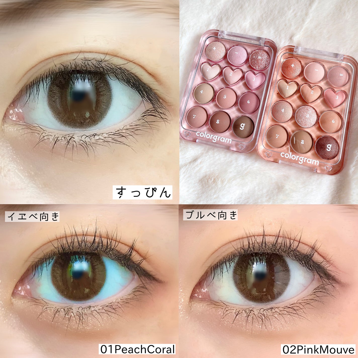 目元チュートリアルアイパレット/Colorgram/アイシャドウパレットを使ったクチコミ(5枚目)