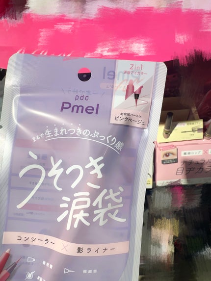 ピメル パーフェクトアイバッグペンシル/pdc/リキッドアイライナーを使ったクチコミ(4枚目)