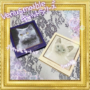 Venus Marble アイシャドウキャットシリーズ/Venus Marble/パウダーアイシャドウを使ったクチコミ（1枚目）