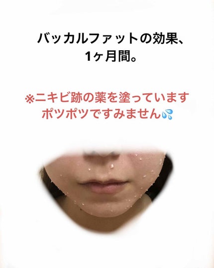 ã䜿ã£ãã¯ãã³ãïŒ1æç®ïŒ